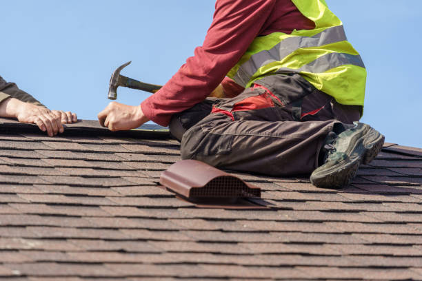 Best Roof Gutter Cleaning  in Monticello, KY